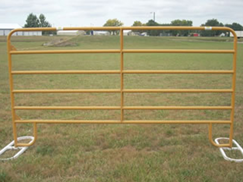 Sheep  Panels